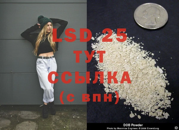 хмурый Абаза