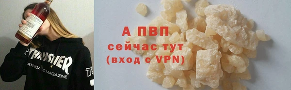 хмурый Абаза