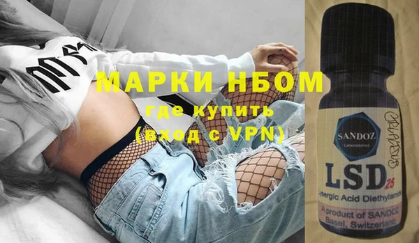 хмурый Абаза