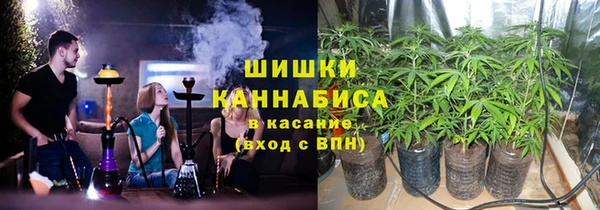 хмурый Абаза