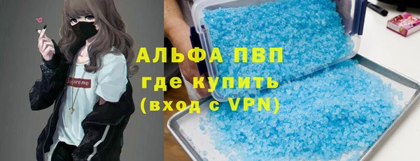хмурый Абаза