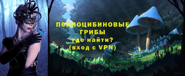 хмурый Абаза
