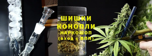 хмурый Абаза